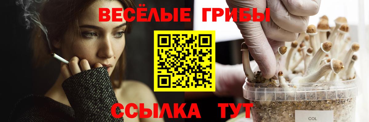 Стрежевой  Галлюциногенные грибы мухоморы  Вход с VPN 
